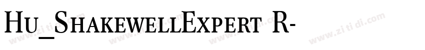 Hu_ShakewellExpert R字体转换